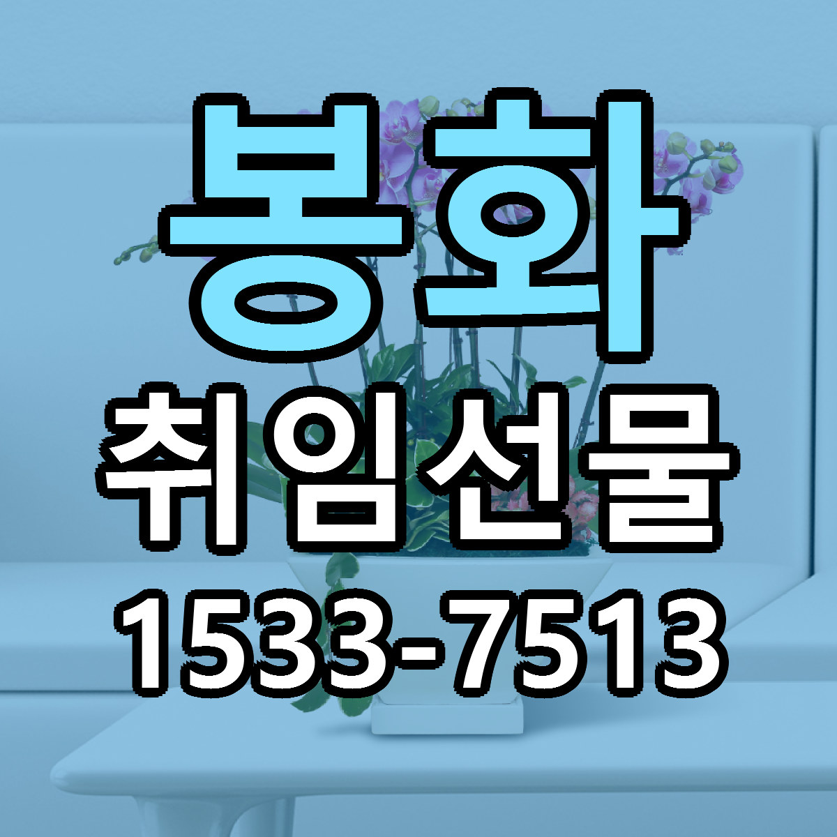 봉화 취임선물 싼곳 빠른배송 리본문구 무료