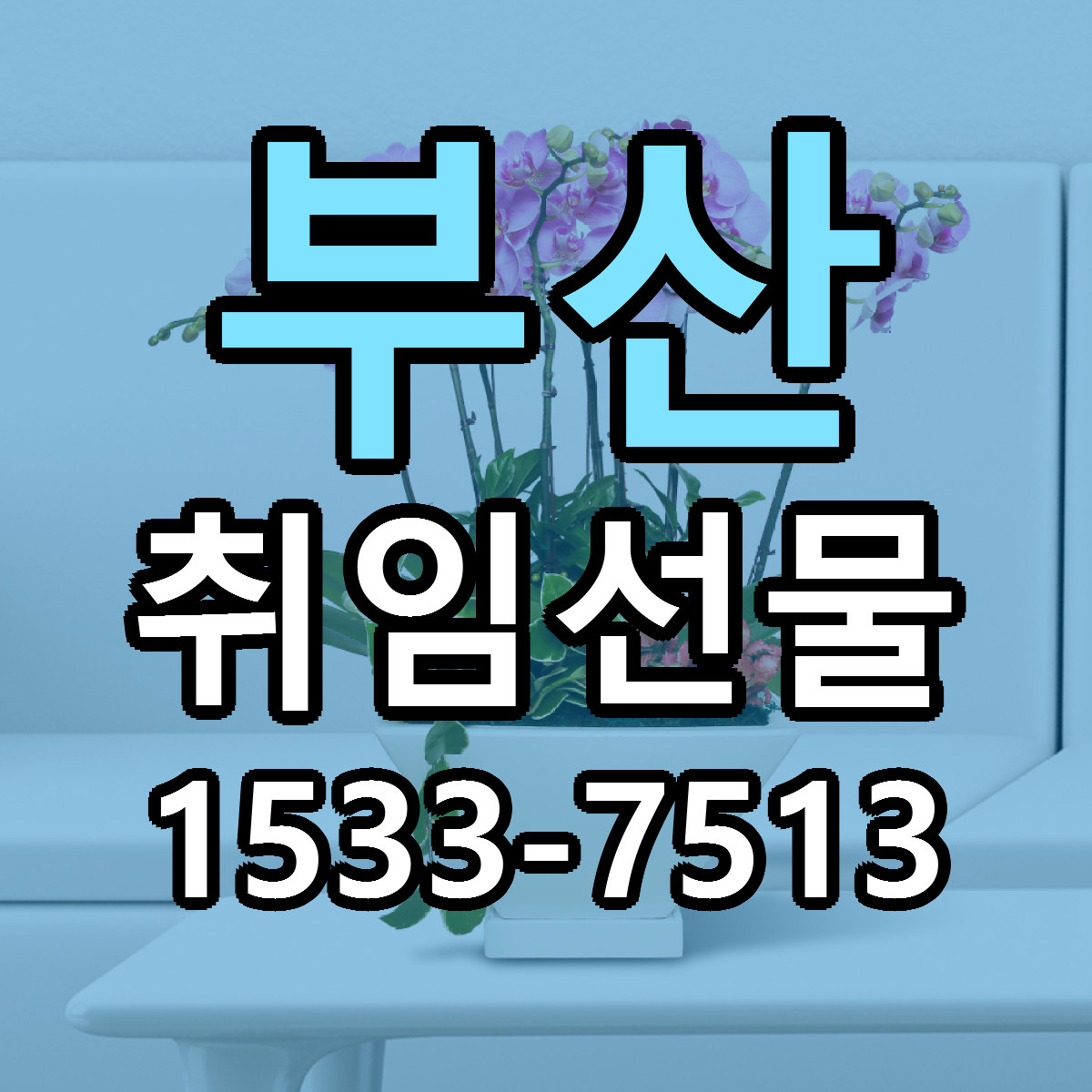부산 취임선물 당일배송 근처꽃집 싼곳 비교
