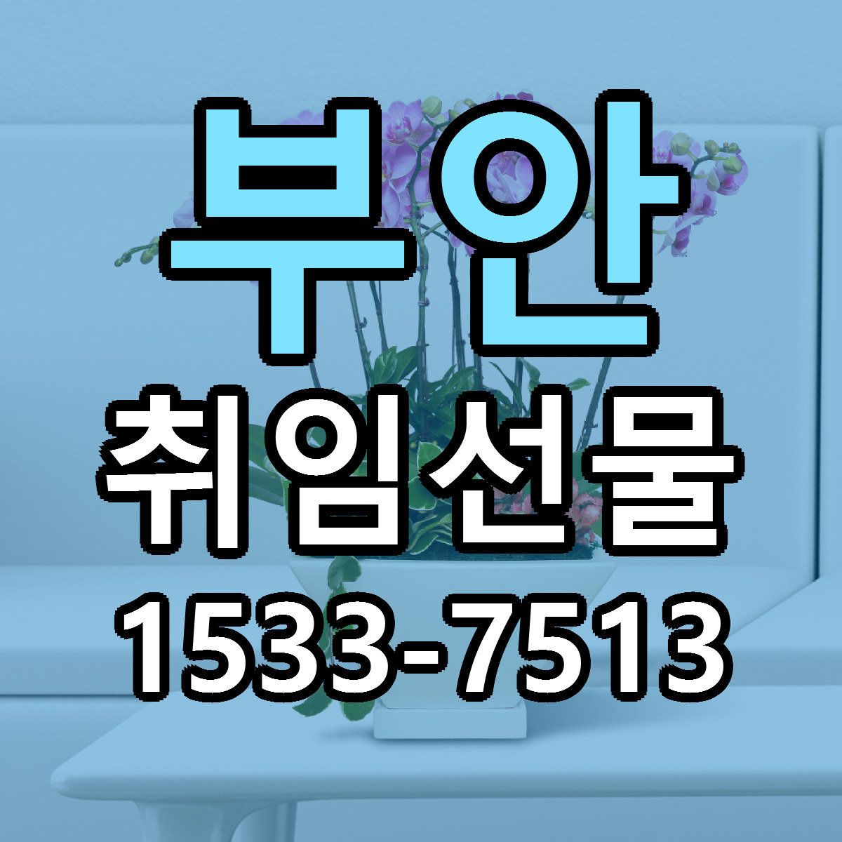 부안 취임선물 당일배송 리본문구 빠른배송 서비스