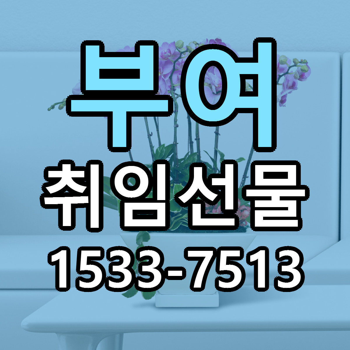 부여 취임선물 근처꽃집 당일배송 리본문구 서비스
