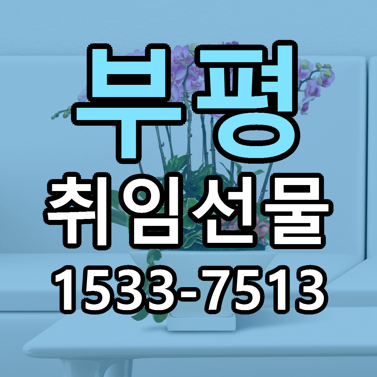 부평 취임선물 빠른배송 리본문구 가격 알뜰 비교