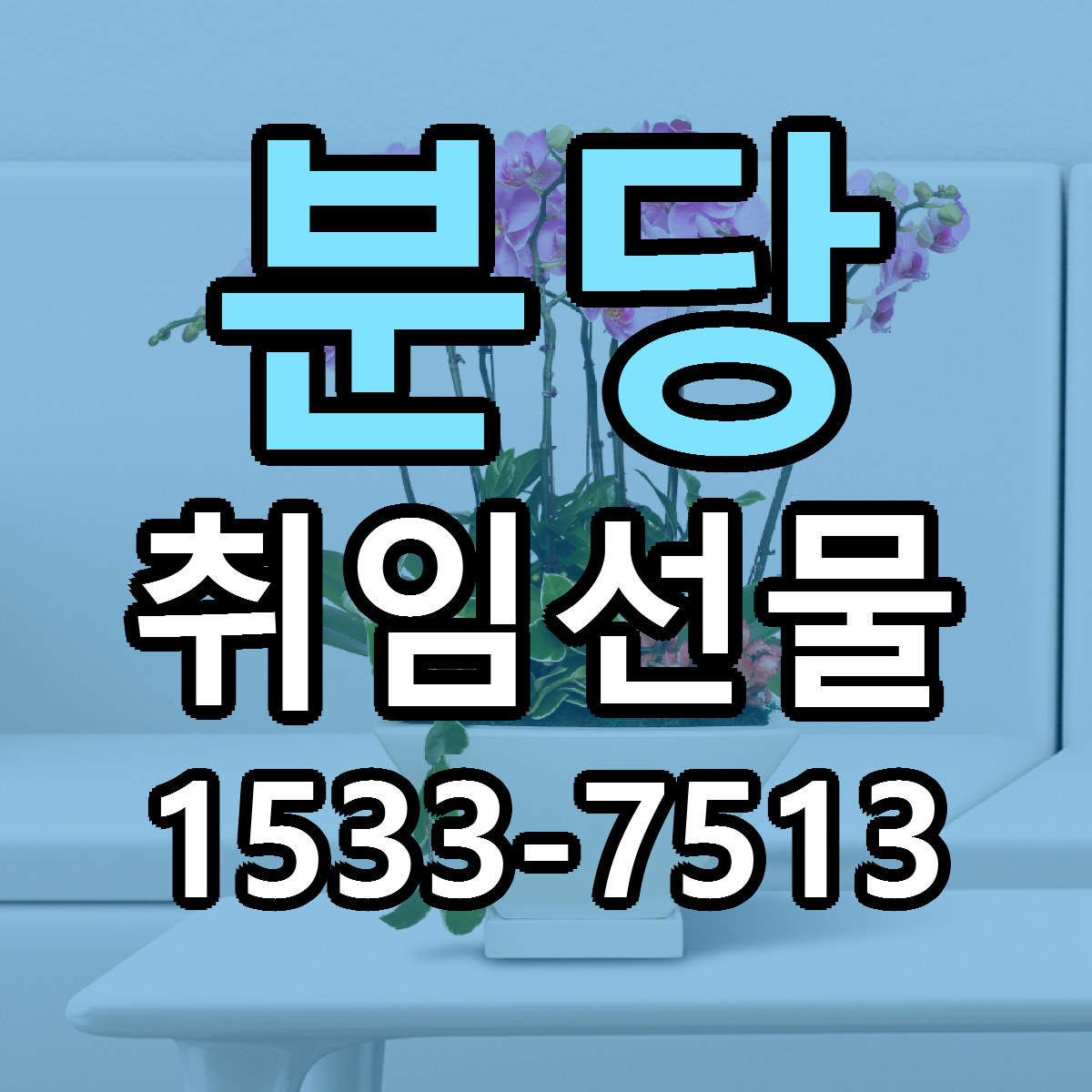 분당 취임선물 빠른배송 저렴한곳 가격 정리