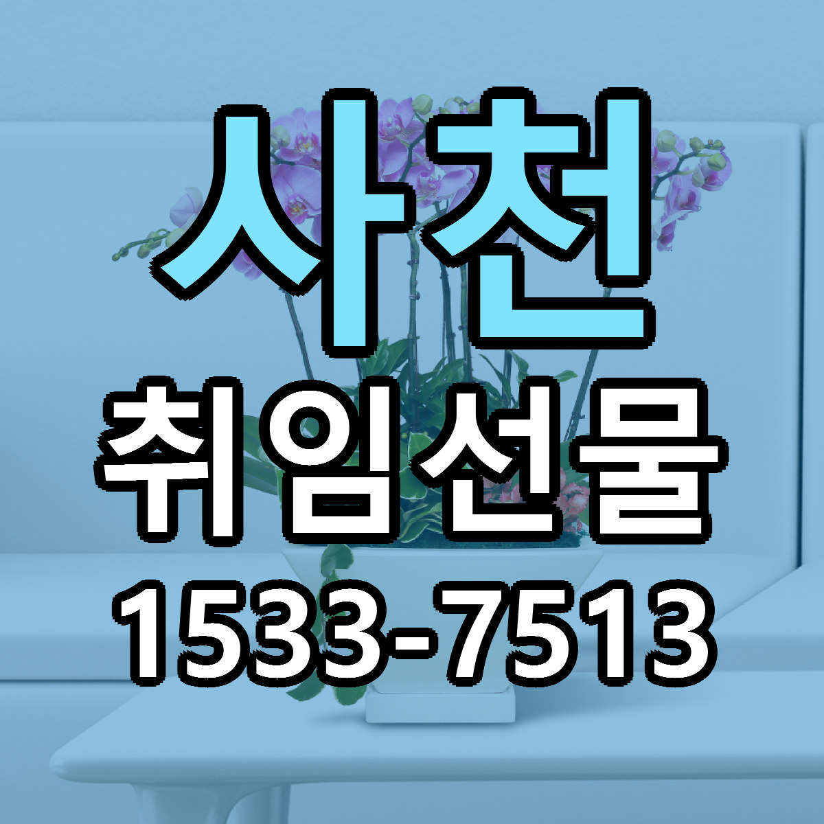 사천 취임선물 당일배송 리본문구 싼곳 찾기