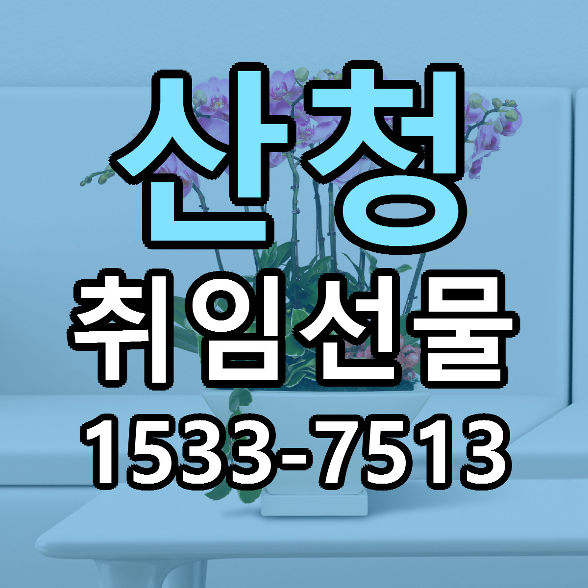 산청 취임선물 리본문구 근처꽃집 저렴한곳 예약