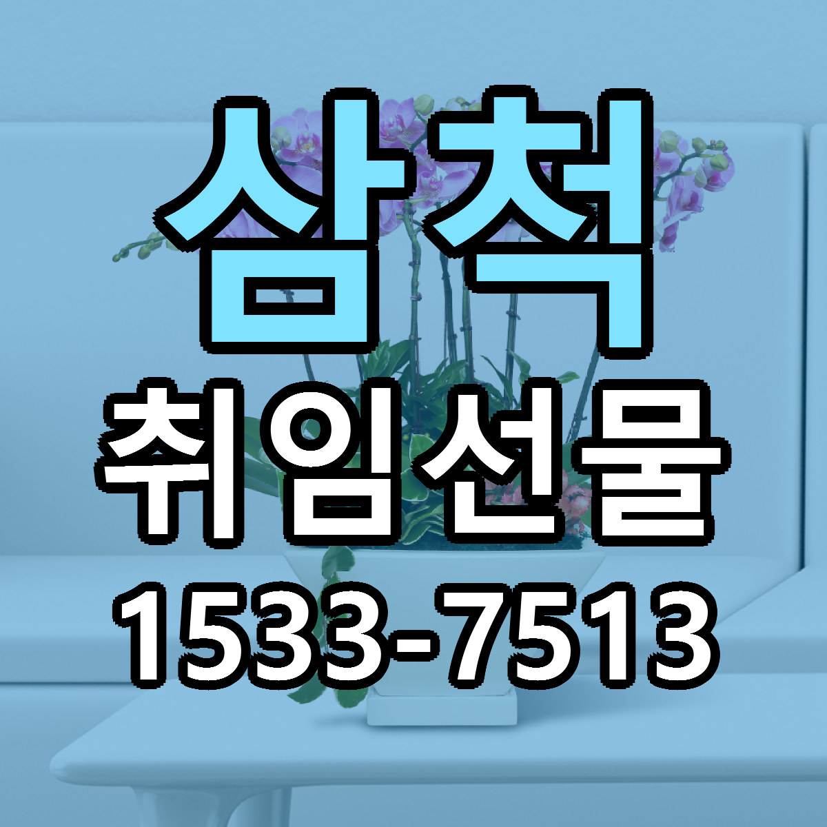 삼척 취임선물 빠른배송 가격 저렴한곳 찾기