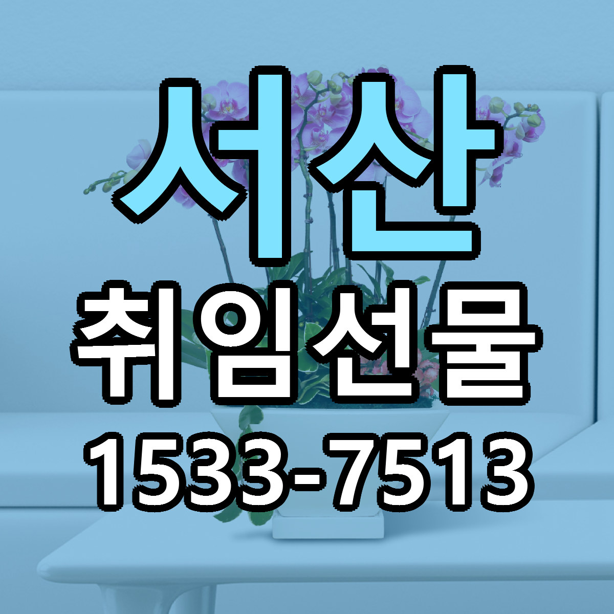 서산 취임선물 당일배송 리본문구 싼곳 찾기