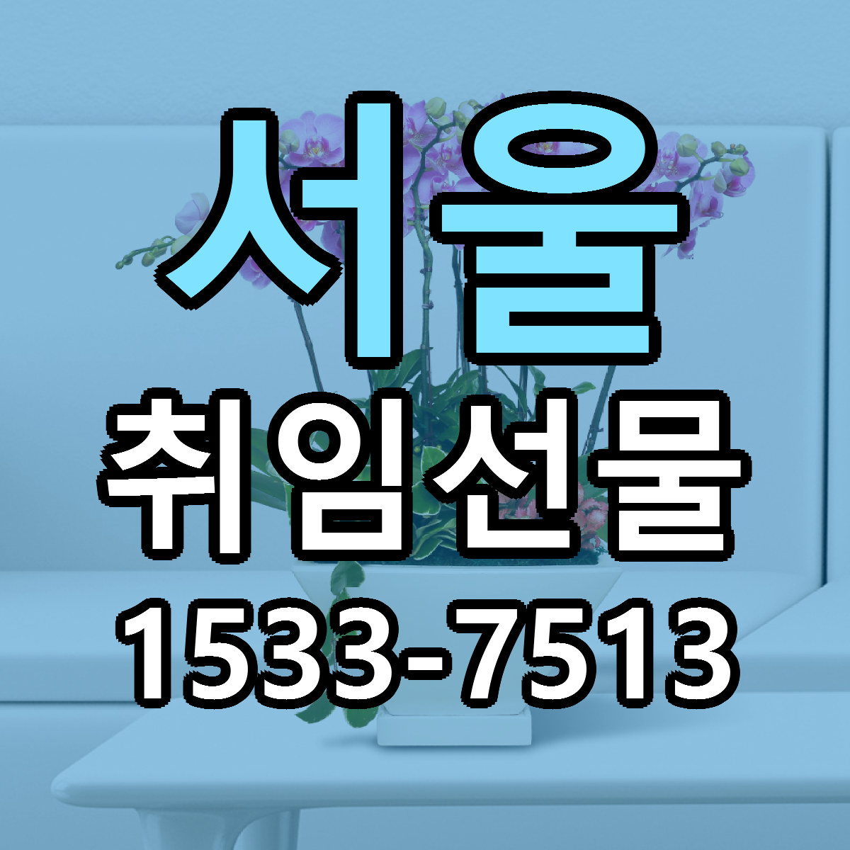 서울 취임선물 근처꽃집 당일배송 가격 안내