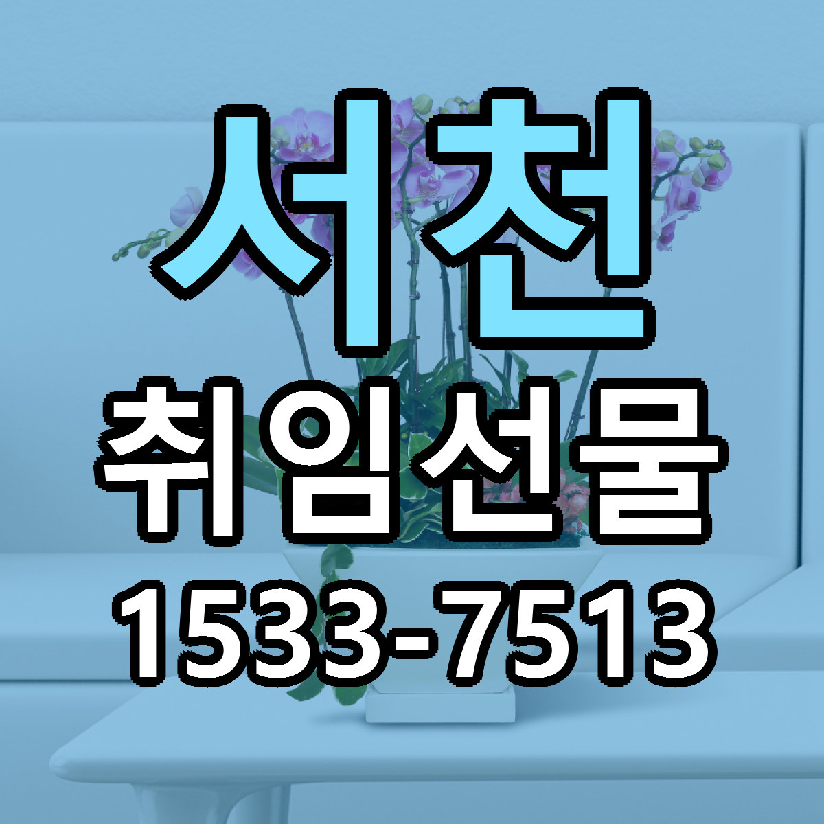 서천 취임선물 당일배송 가격 저렴한곳 추천