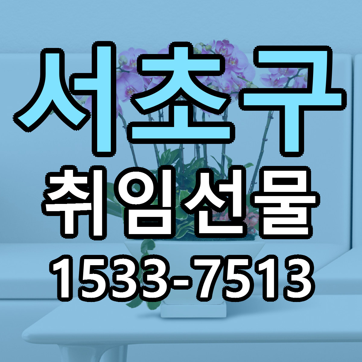 서초구 취임선물 저렴한곳 당일배송 근처꽃집 추천