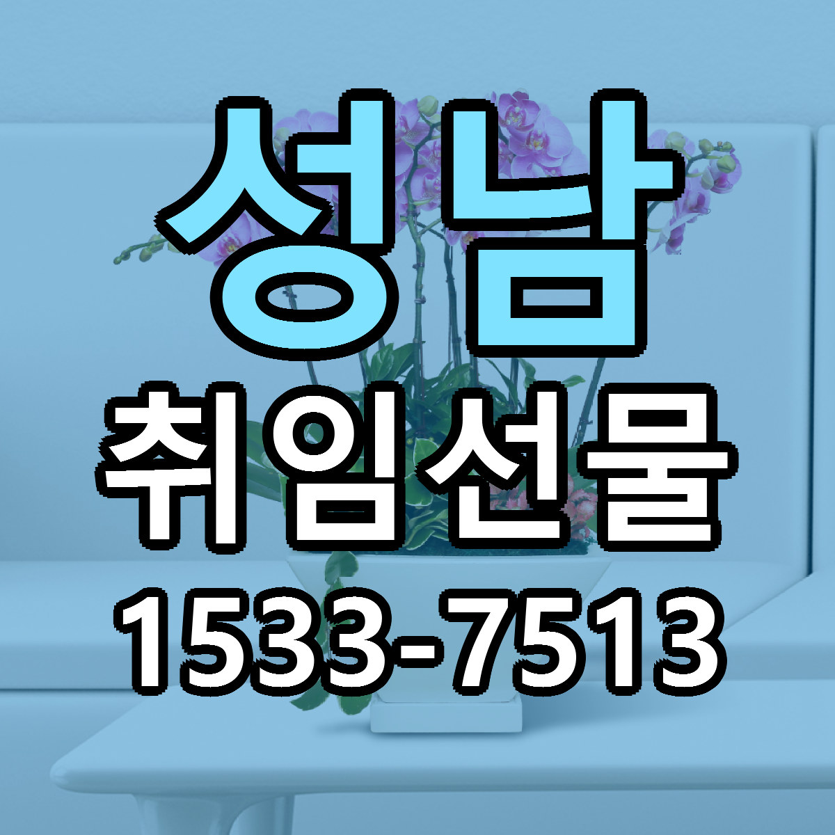 성남 취임선물 빠른배송 가격 저렴한곳 찾기