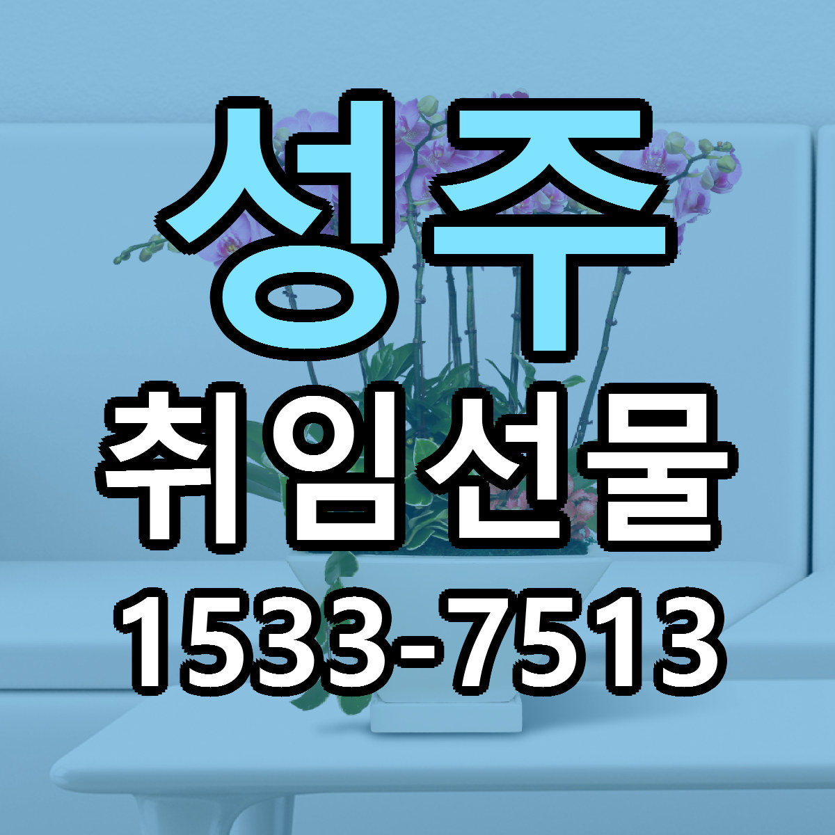 성주 취임선물 근처꽃집 빠른배송 가격 문의