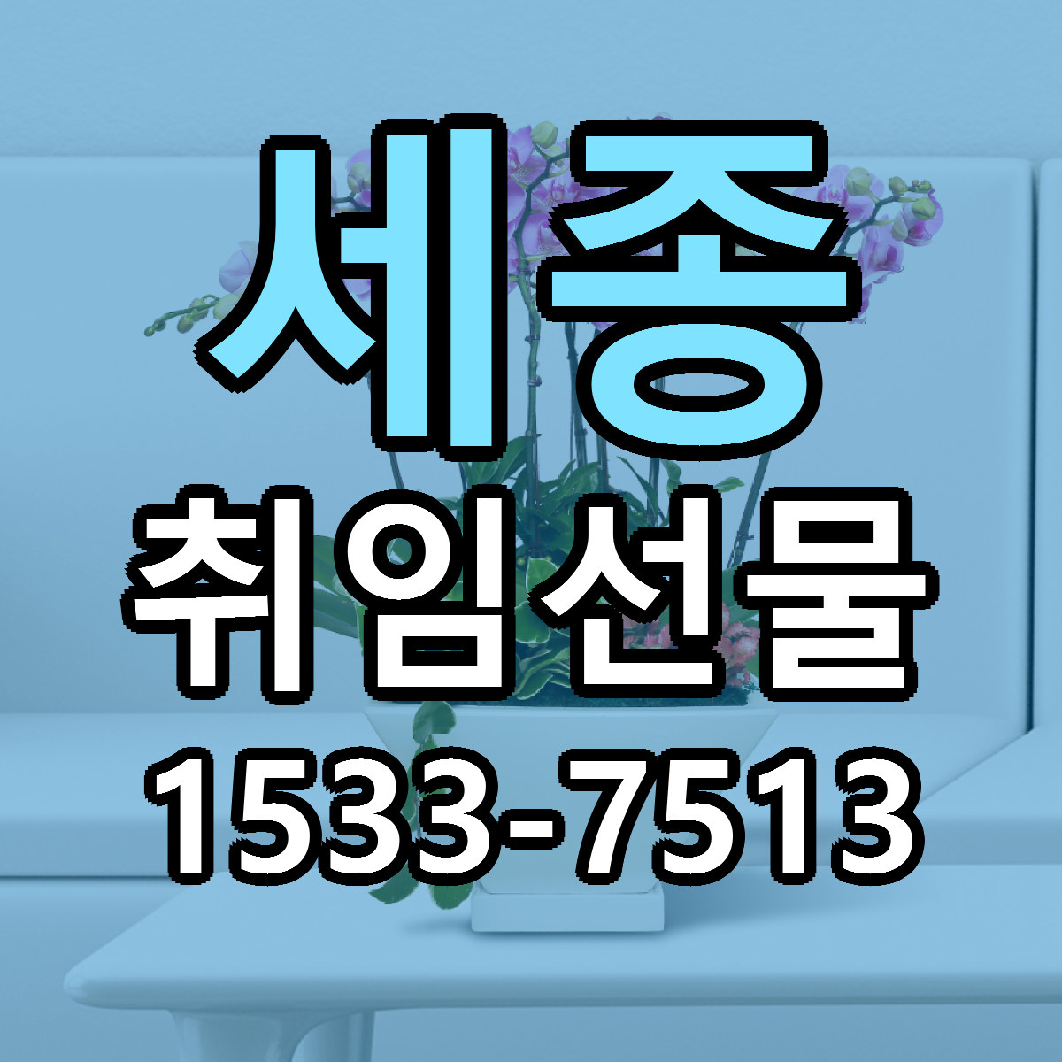 세종 취임선물 빠른배송 리본문구 근처꽃집 예약