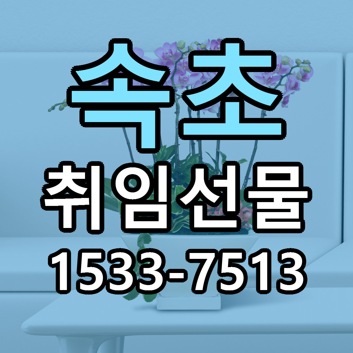 속초 취임선물 빠른배송 싼곳 가격 문의