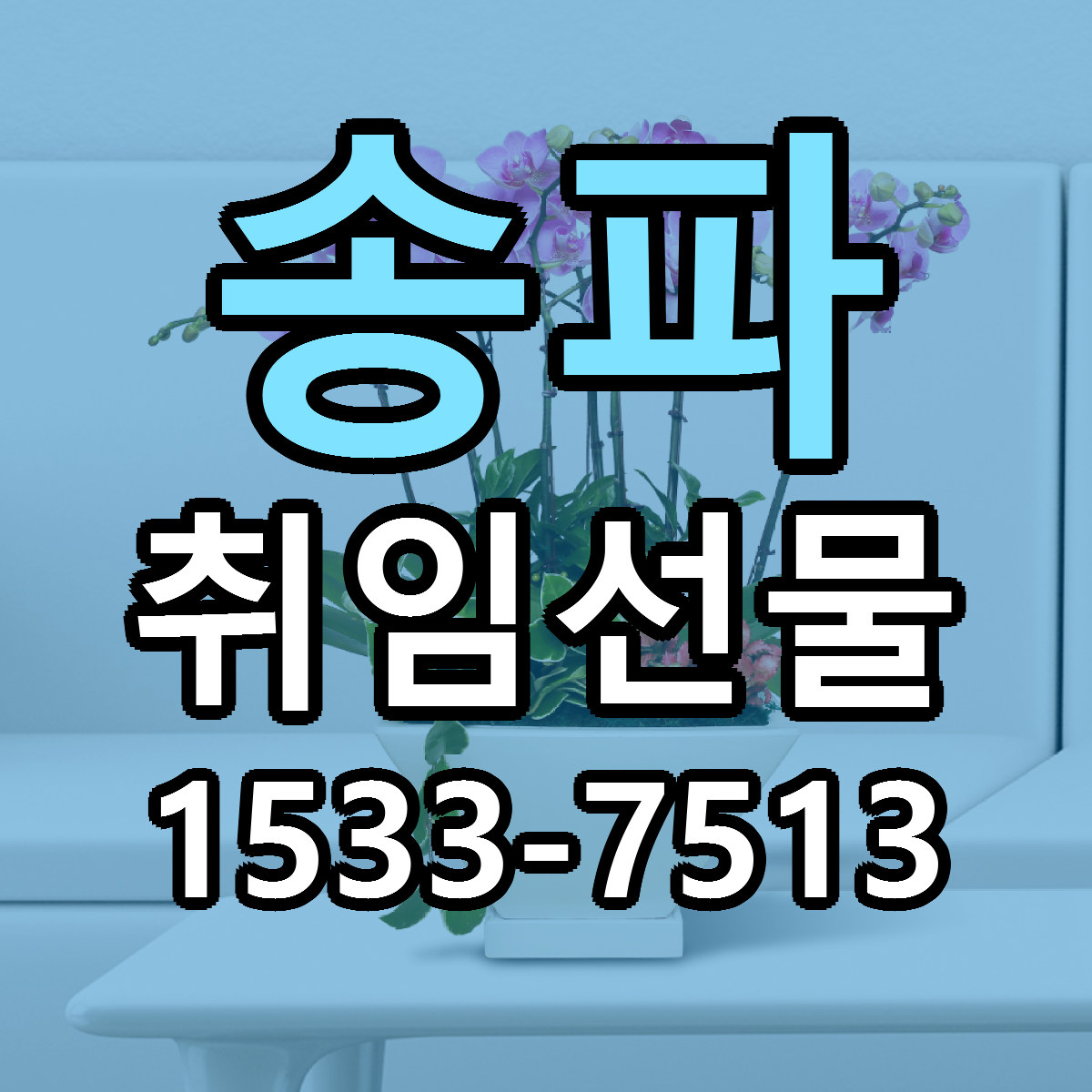 송파 취임선물 빠른배송 저렴한곳 가격 정리