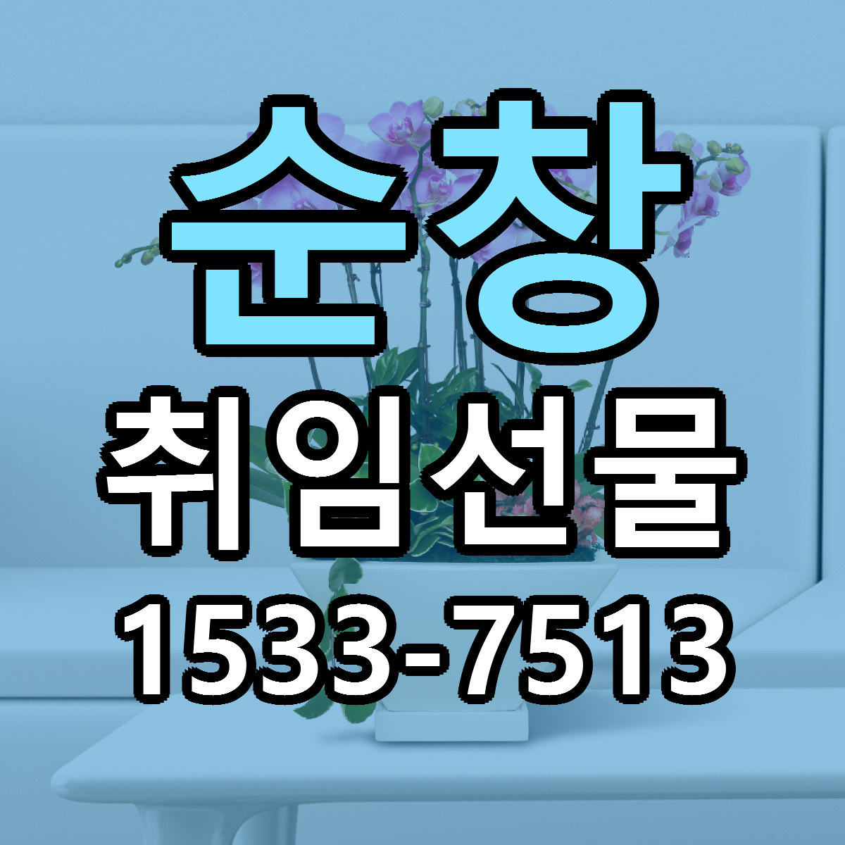 순창 취임선물 빠른배송 저렴한곳 가격 정리
