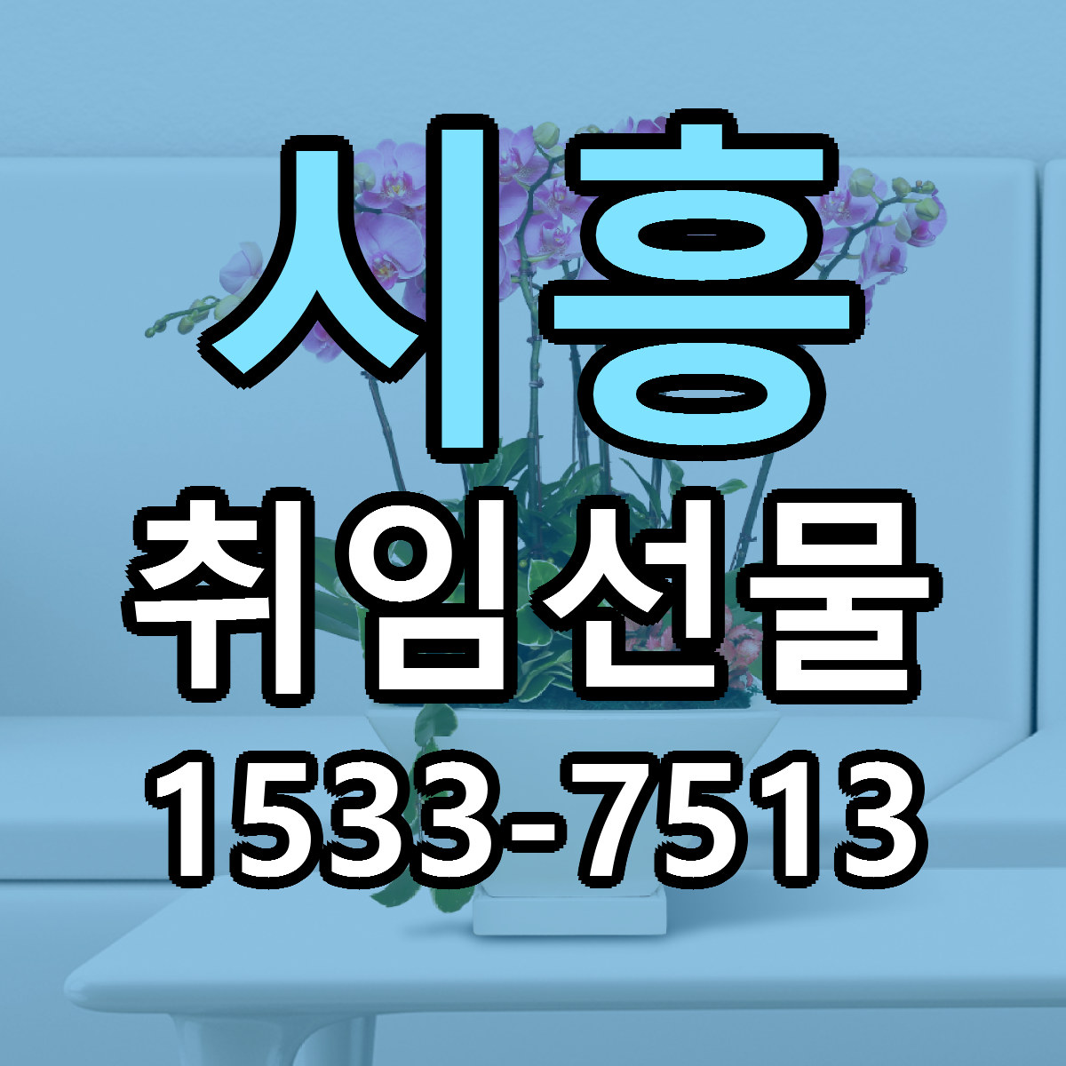 시흥 취임선물 빠른배송 싼곳 가격 문의