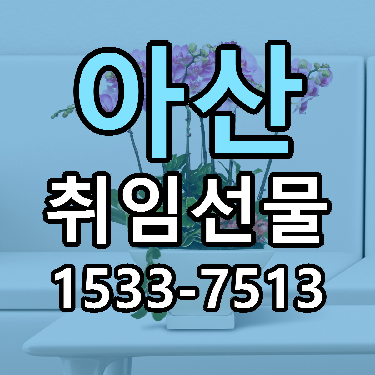 아산 취임선물 당일배송 빠른배송 싼곳 찾기
