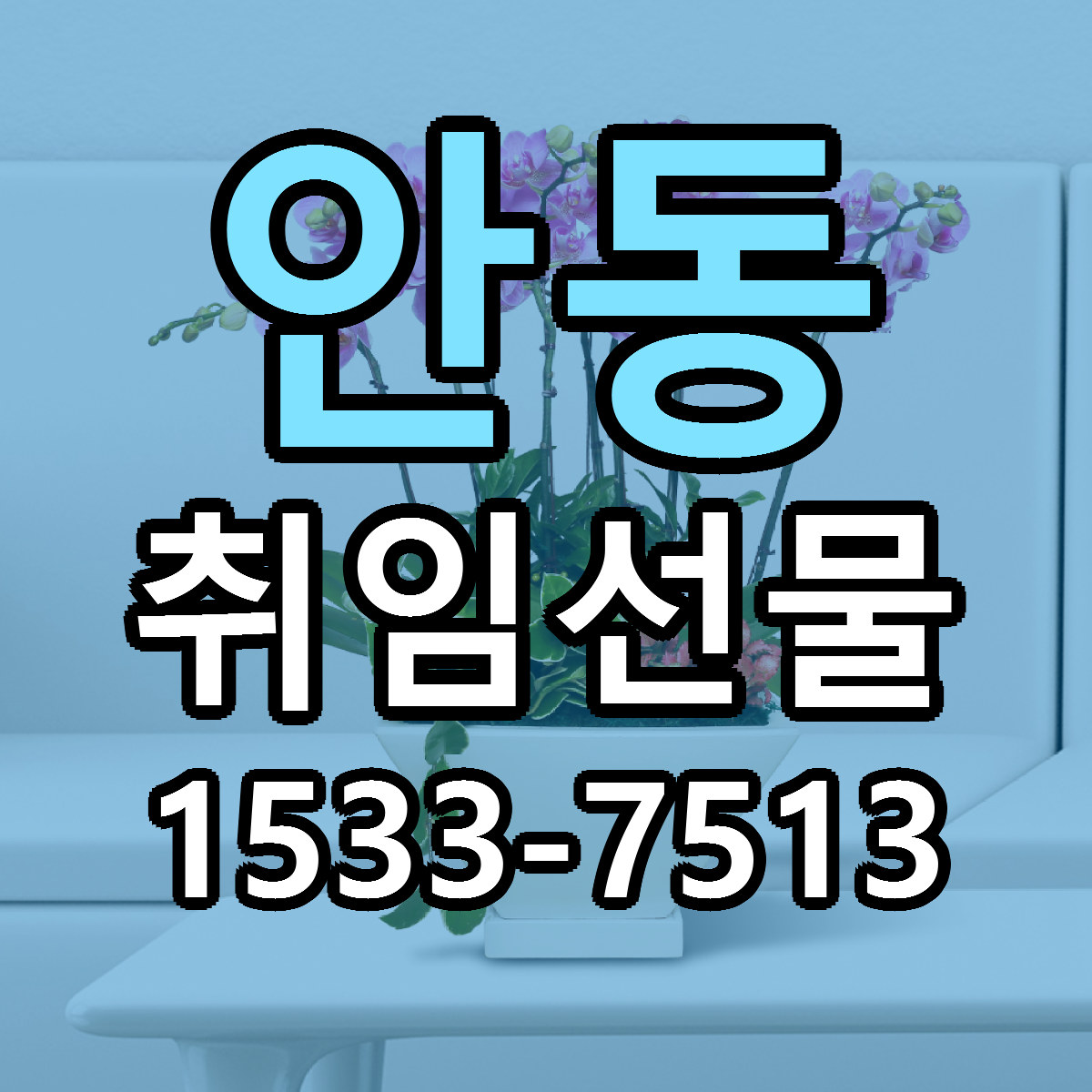 안동 취임선물 빠른배송 리본문구 가격 알뜰 비교