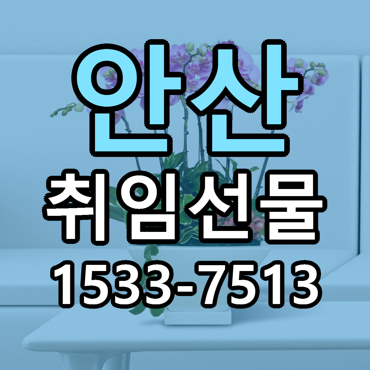 안산 취임선물 당일배송 저렴한곳 리본문구 추천