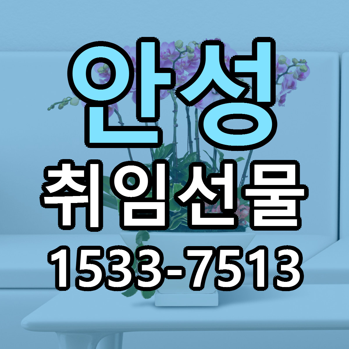 안성 취임선물 근처꽃집 싼곳 빠른배송 안내