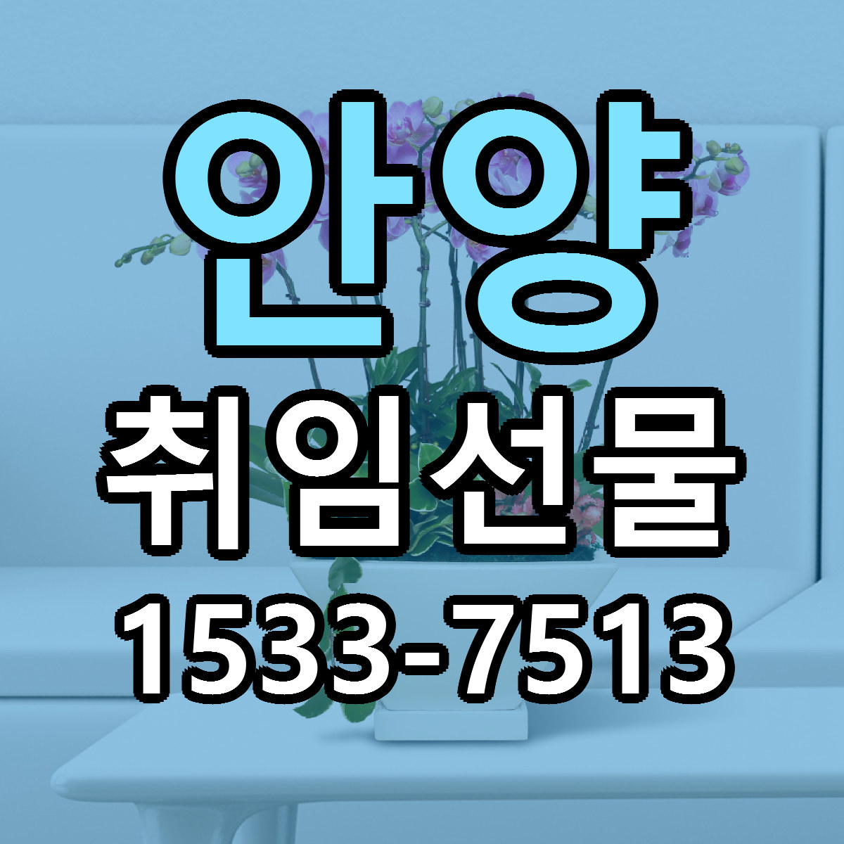 안양 취임선물 리본문구 싼곳 빠른배송 예약