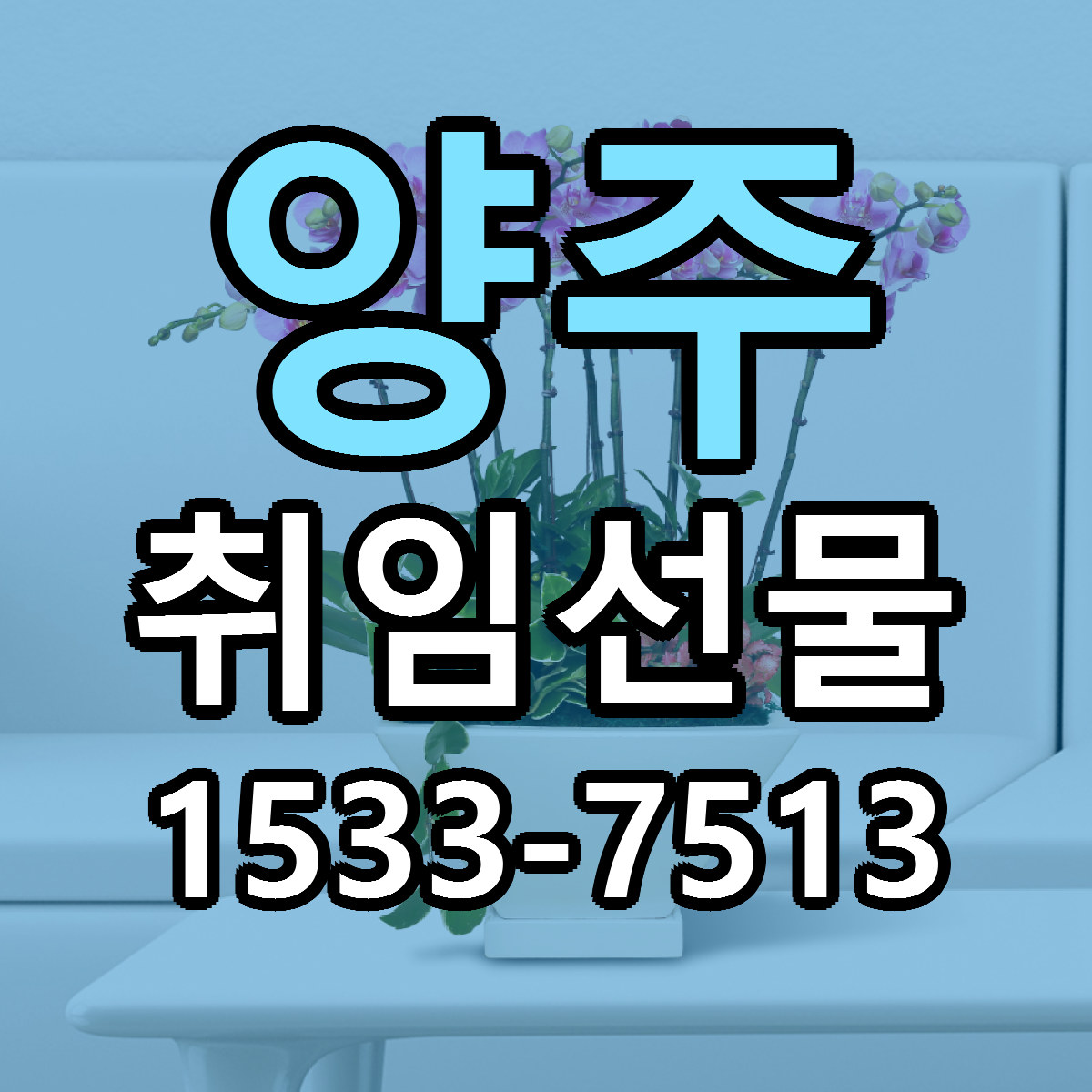 양주 취임선물 빠른배송 싼곳 가격 문의