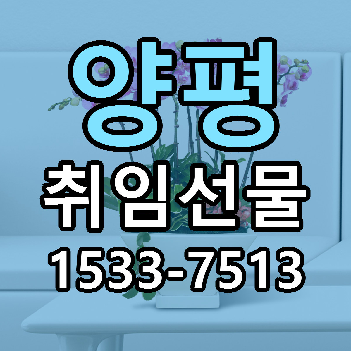 양평 취임선물 당일배송 가격 저렴한곳 추천