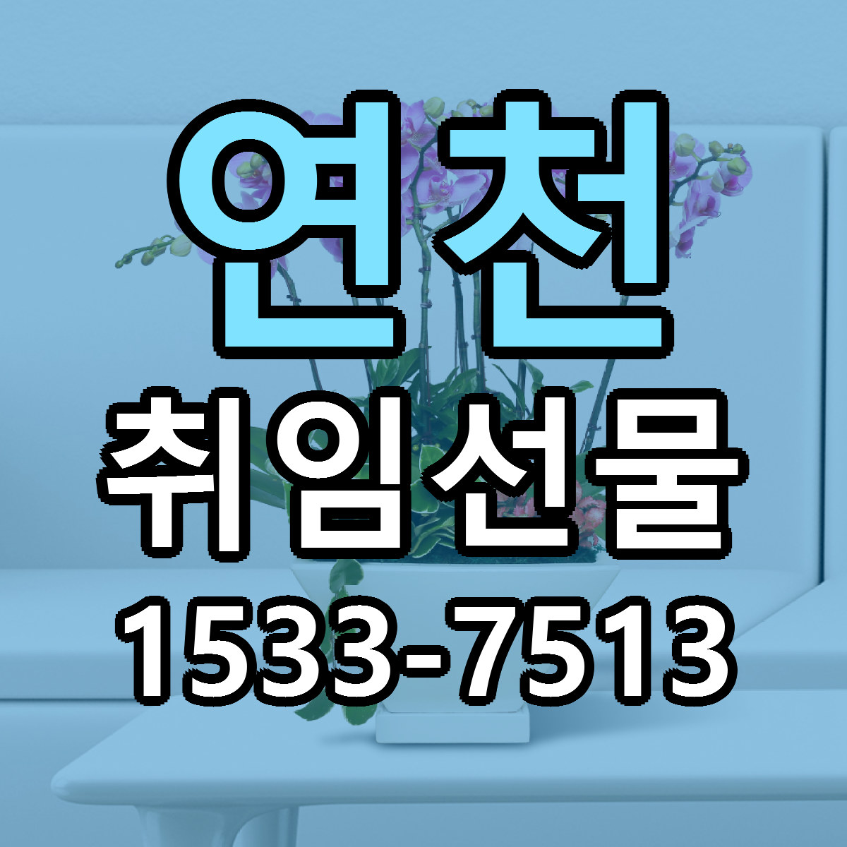 연천 취임선물 저렴한곳 당일배송 가격 만족