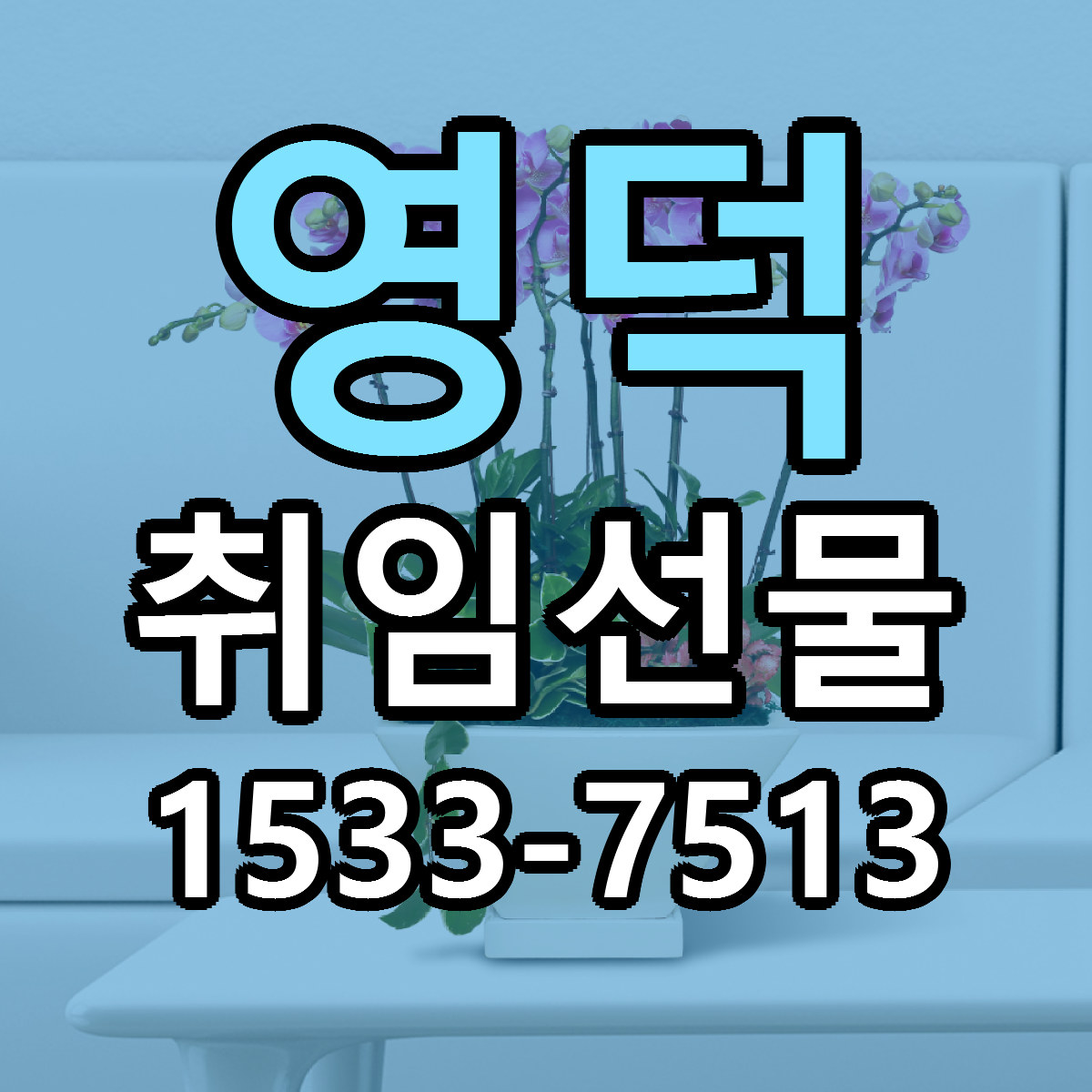 영덕 취임선물 저렴한곳 당일배송 근처꽃집 추천