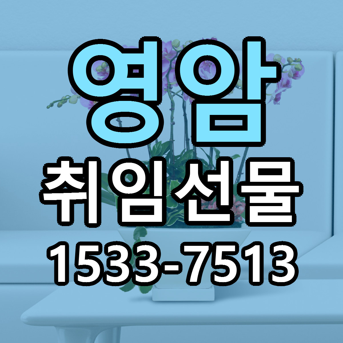 영암 취임선물 빠른배송 싼곳 가격 문의