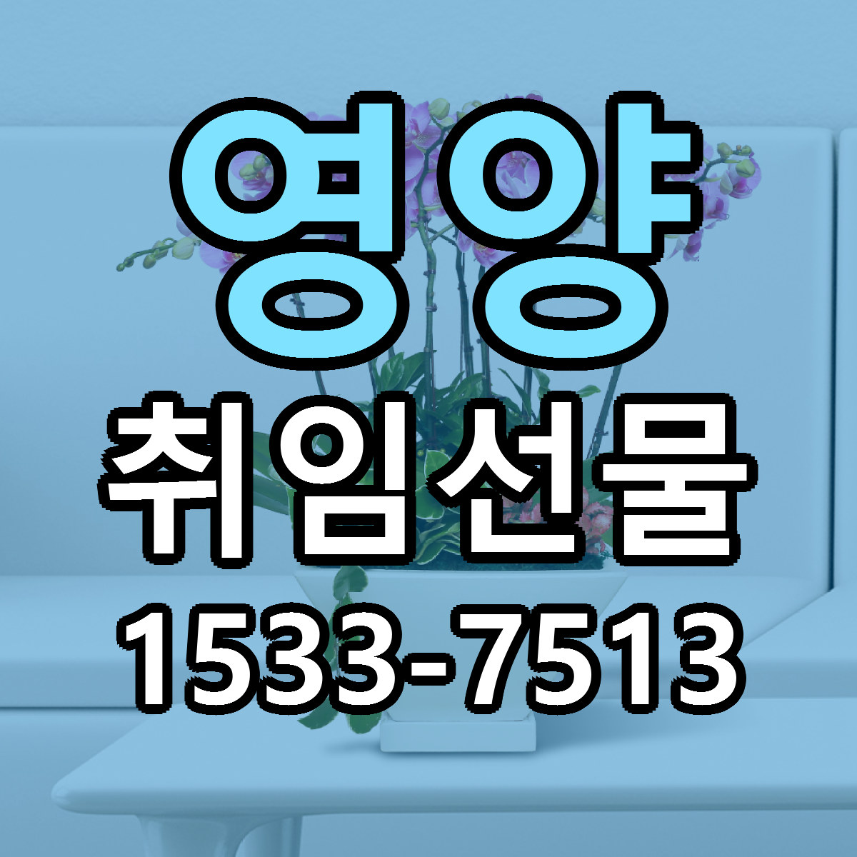 영양 취임선물 당일배송 리본문구 빠른배송 서비스