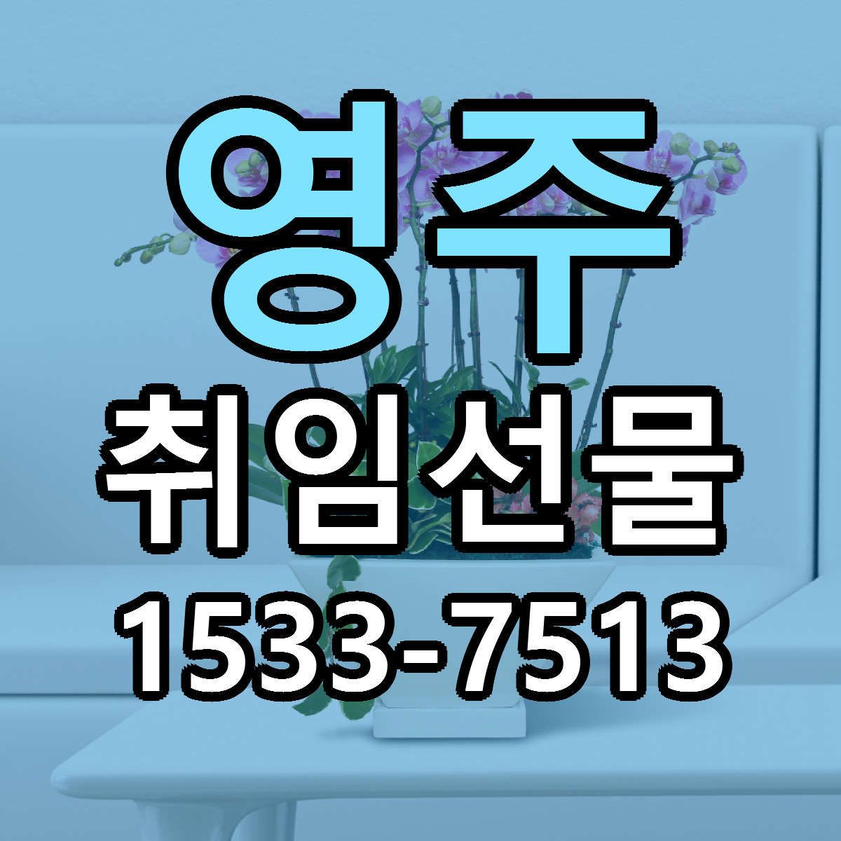 영주 취임선물 가격 만족 저렴한곳 리본문구 작성