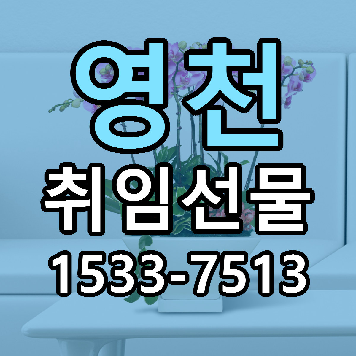 영천 취임선물 리본문구 근처꽃집 저렴한곳 예약
