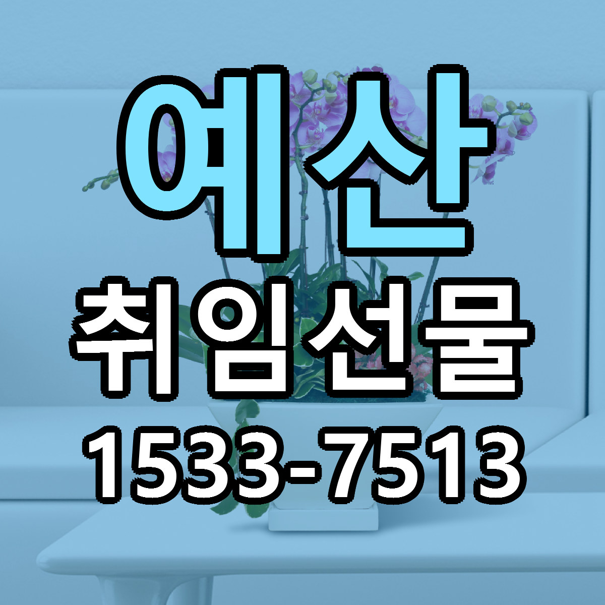 예산 취임선물 당일배송 빠른배송 싼곳 찾기