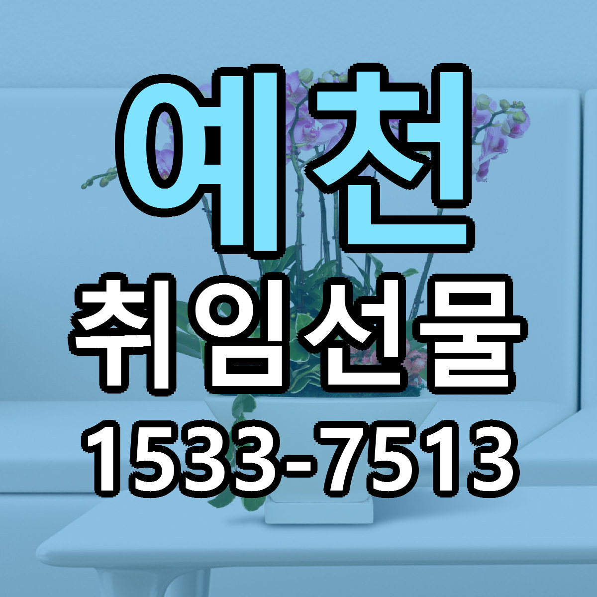 예천 취임선물 당일배송 싼곳 리본문구 안내