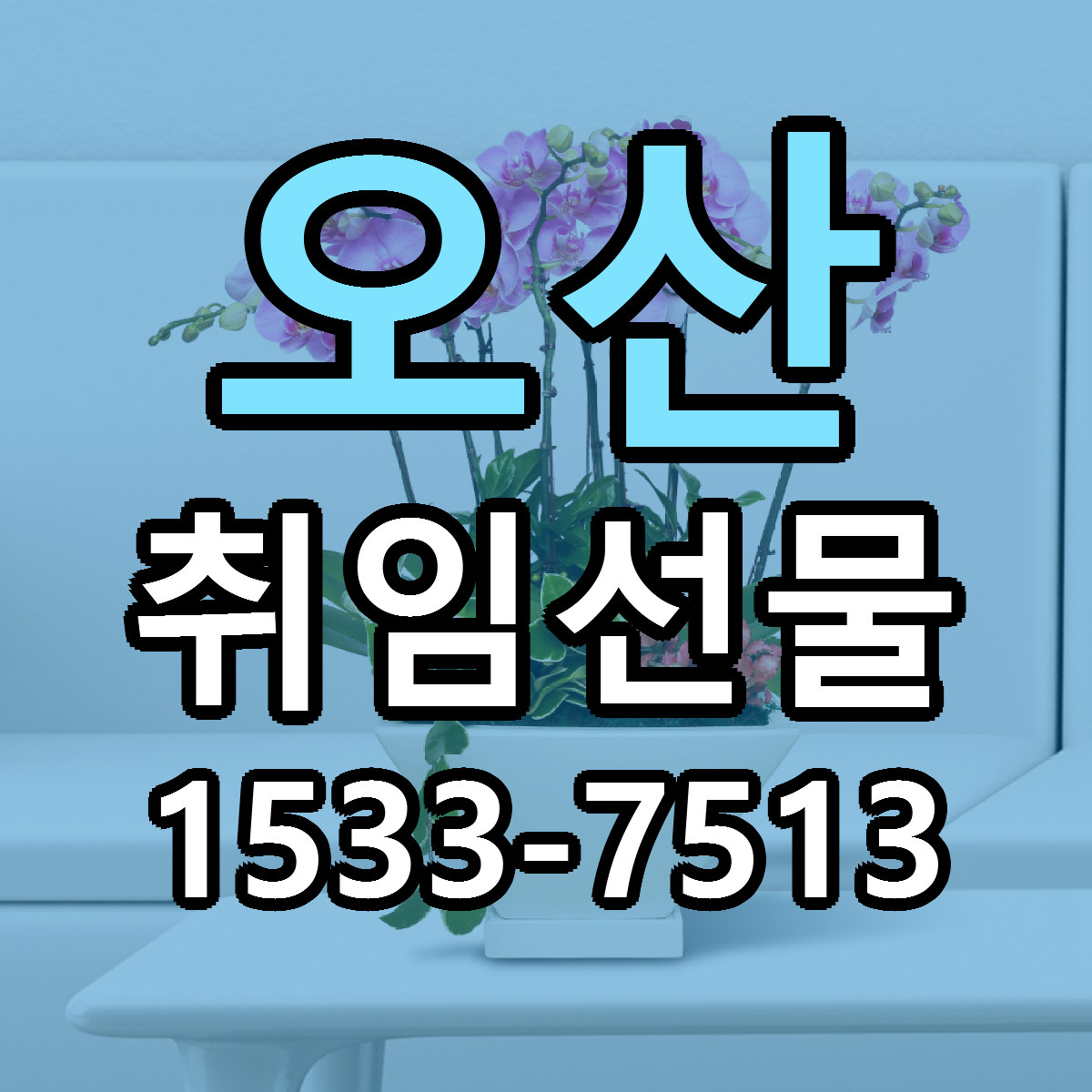 오산 취임선물 저렴한곳 당일배송 가격 만족