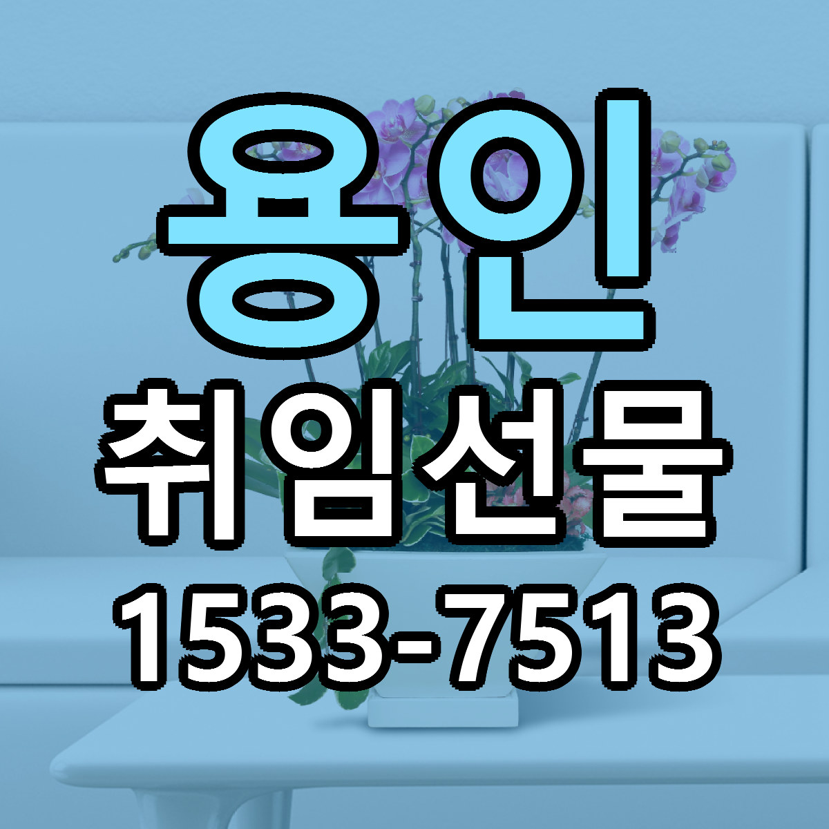 용인 취임선물 빠른배송 근처꽃집 가격 비교