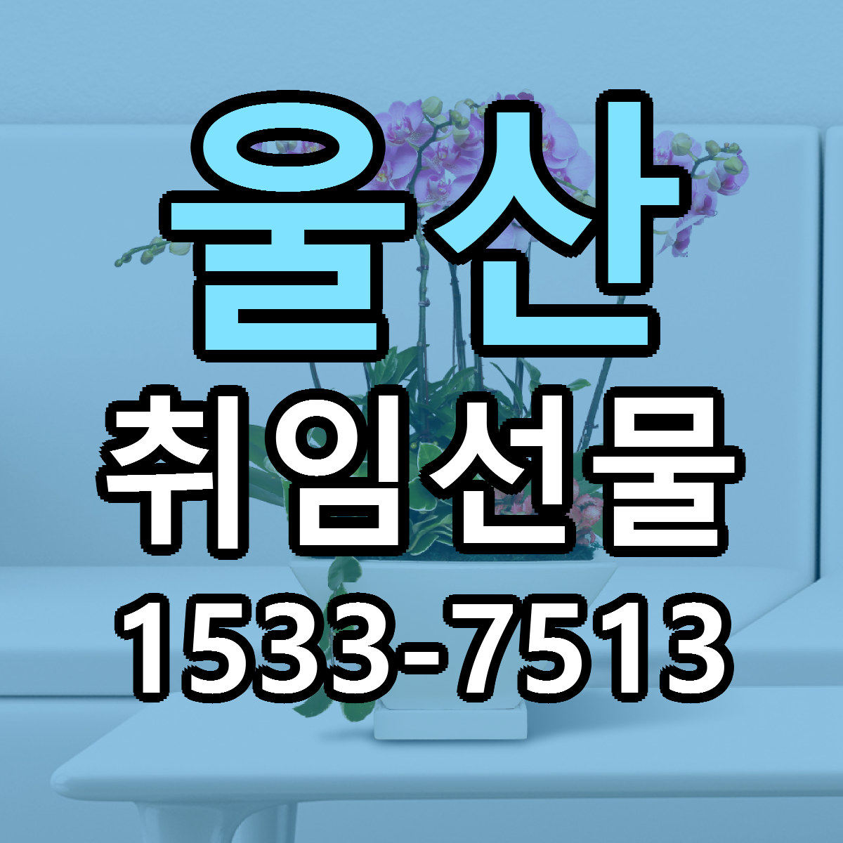 울산 취임선물 저렴한곳 당일배송 근처꽃집 추천