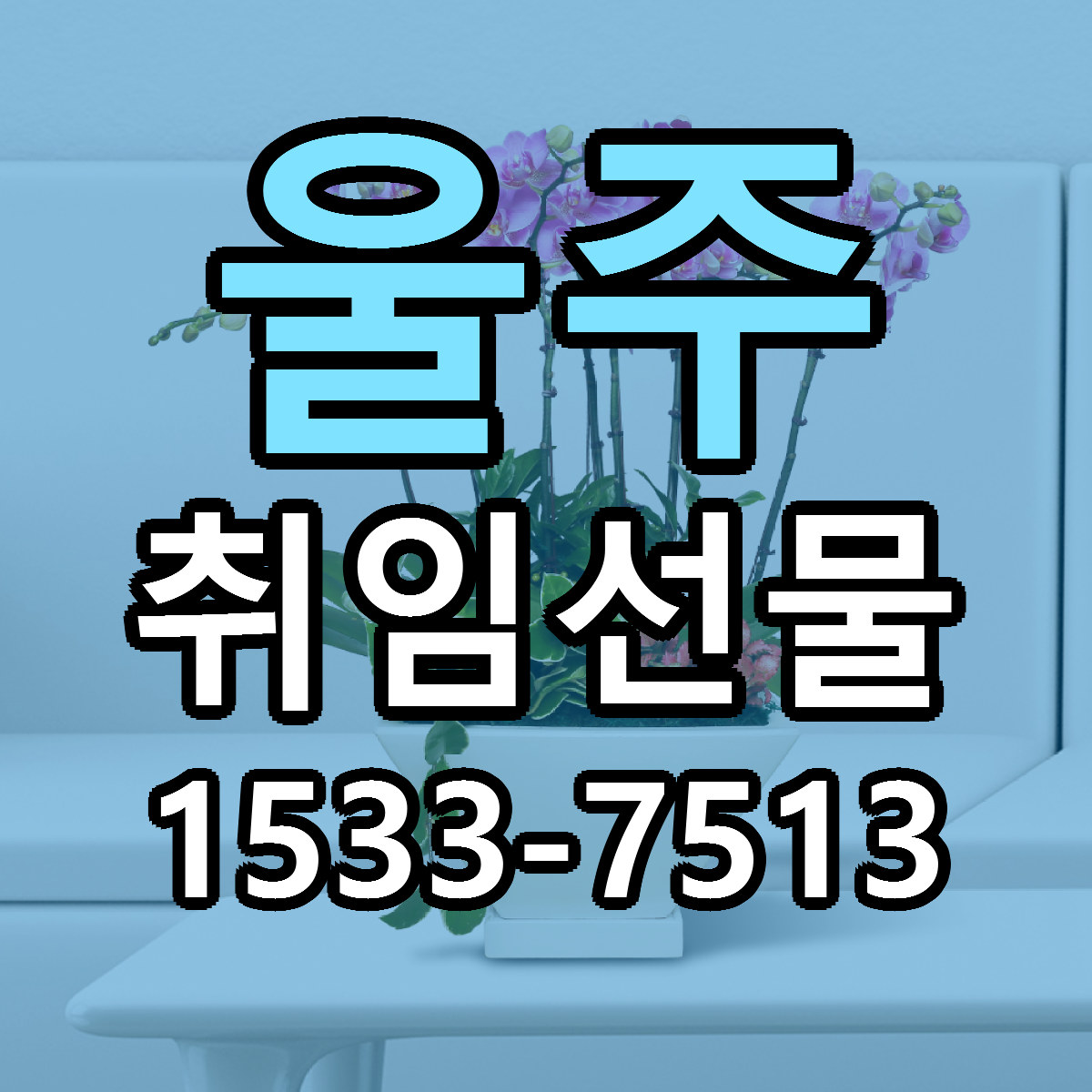 울주 취임선물 가격 착한 싼곳 당일배송 안내