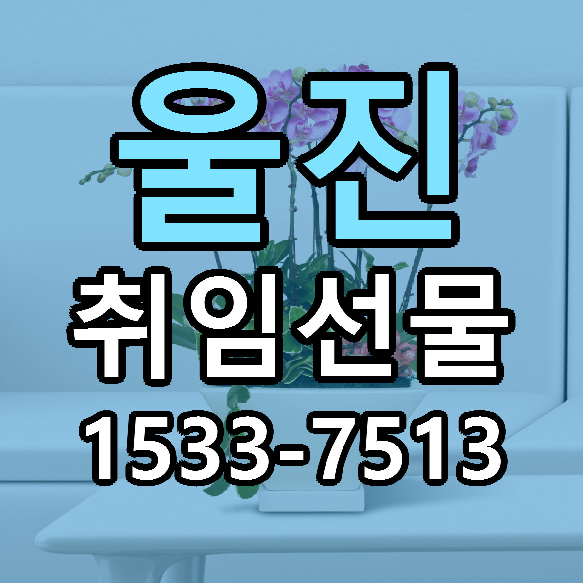 울진 취임선물 당일배송 리본문구 싼곳 찾기