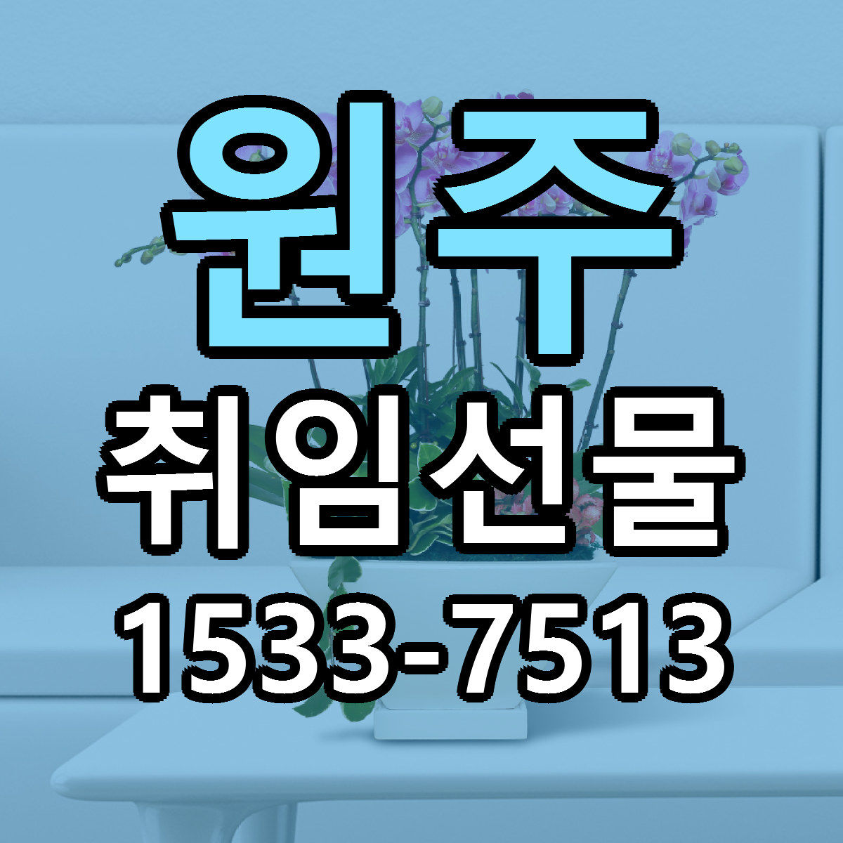원주 취임선물 저렴한곳 당일배송 가격 만족