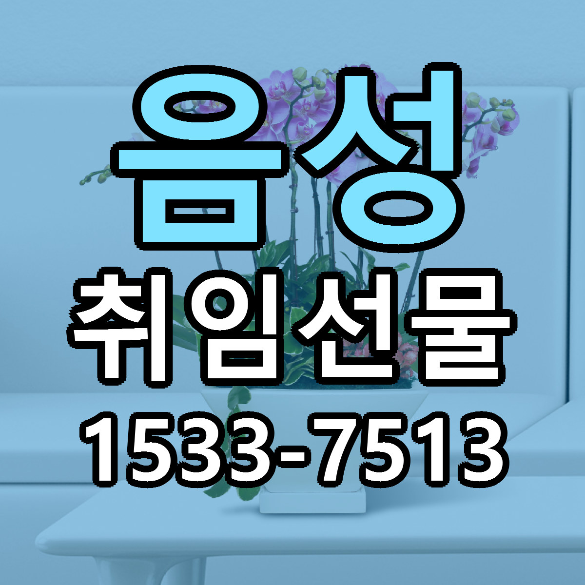음성 취임선물 빠른배송 리본문구 근처꽃집 예약