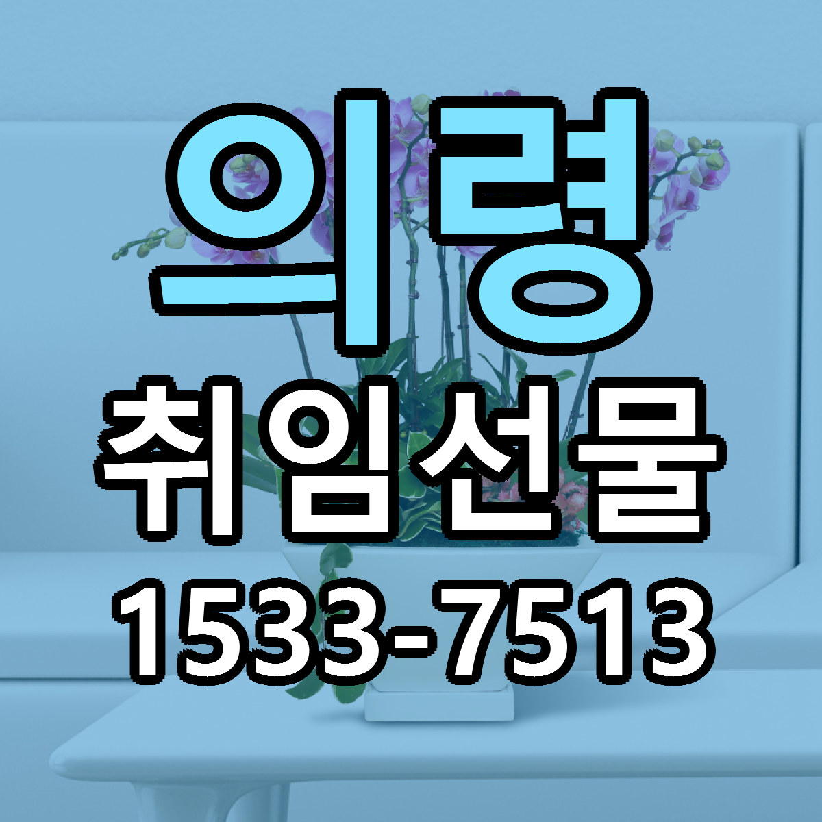 의령 취임선물 근처꽃집 가격 저렴한곳 안내