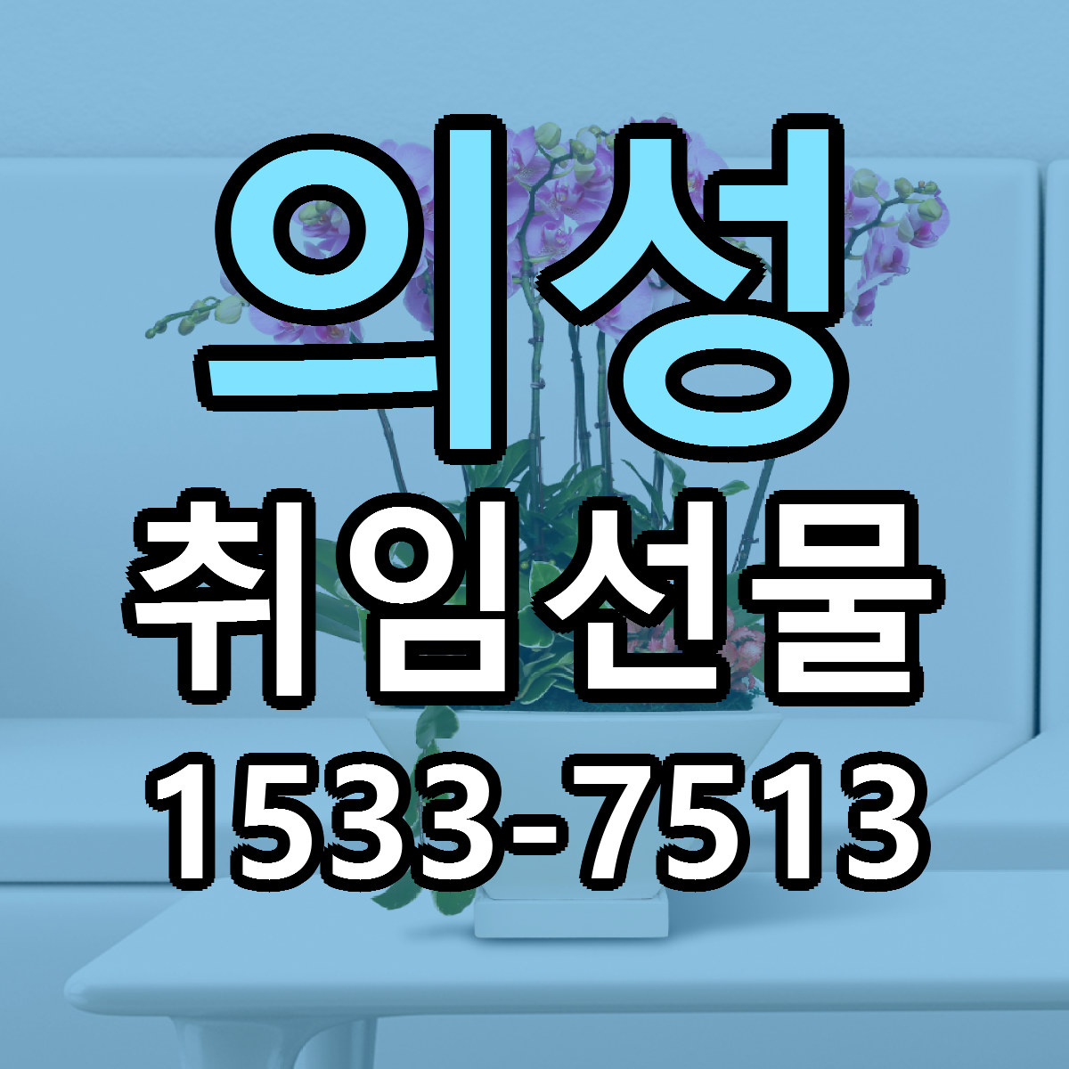 의성 취임선물 근처꽃집 가격 저렴한곳 안내