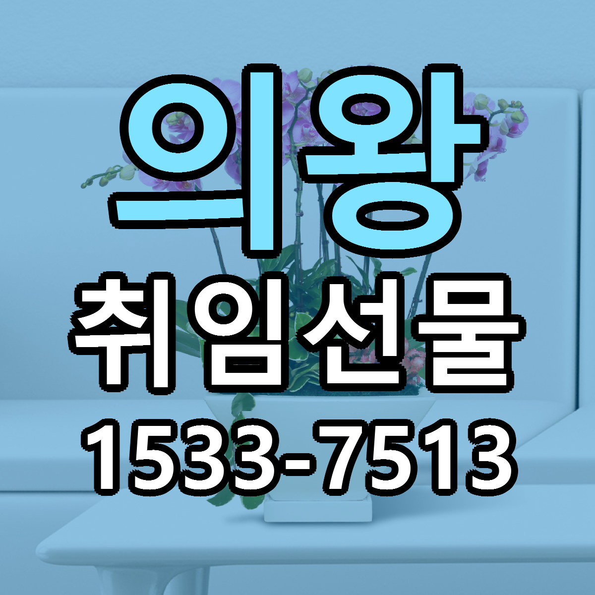 의왕 취임선물 리본문구 싼곳 빠른배송 예약