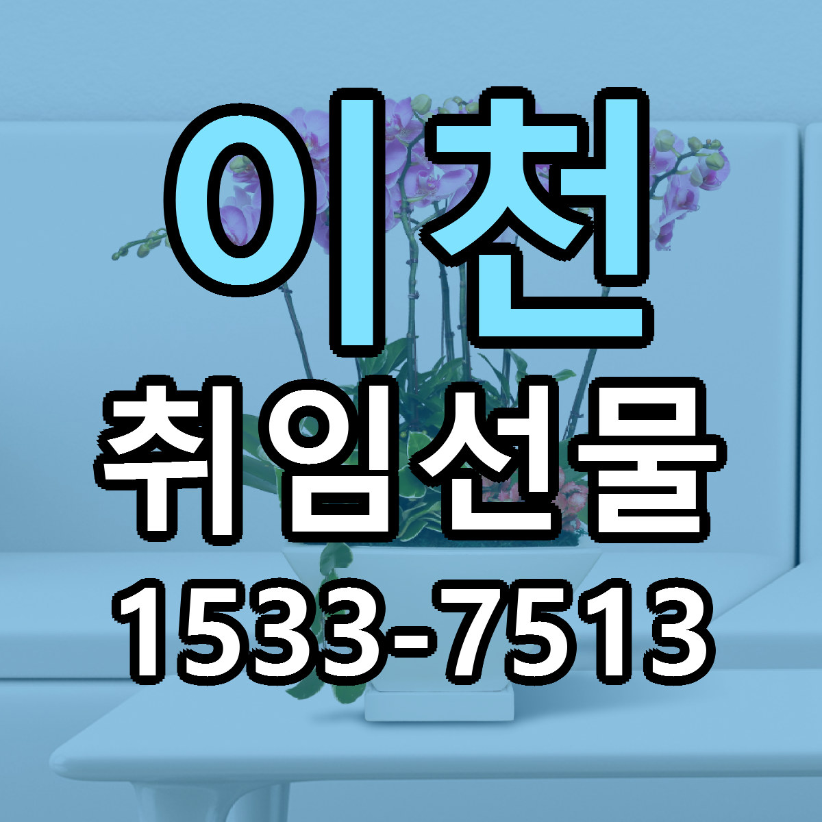 이천 취임선물 당일배송 리본문구 싼곳 찾기