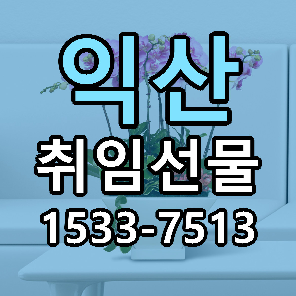 익산 취임선물 근처꽃집 저렴한곳 빠른배송 서비스