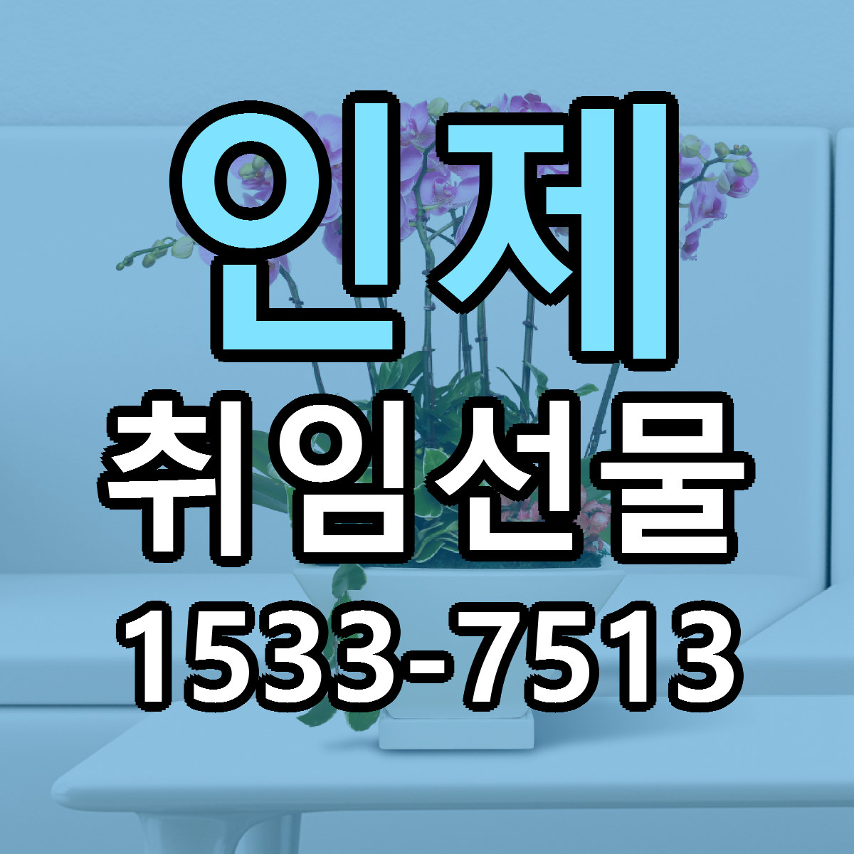 인제 취임선물 당일배송 빠른배송 싼곳 찾기