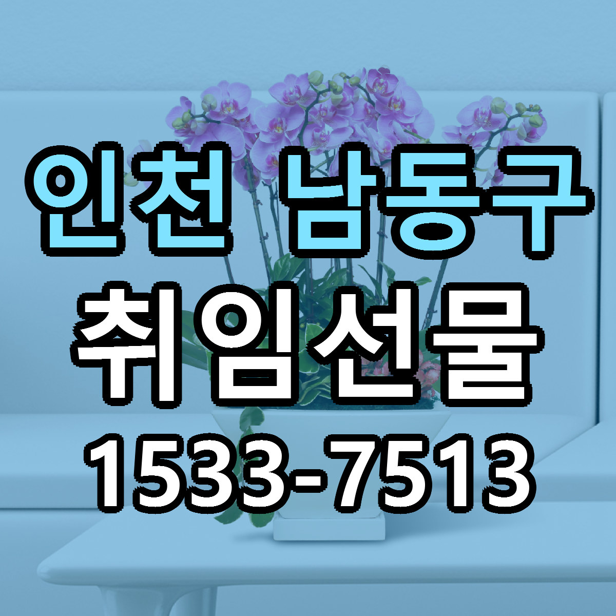 인천 남동구 취임선물 빠른배송 근처꽃집 가격 비교