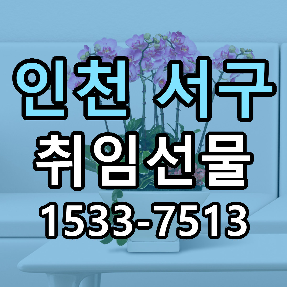 인천 서구 취임선물 당일배송 근처꽃집 싼곳 비교